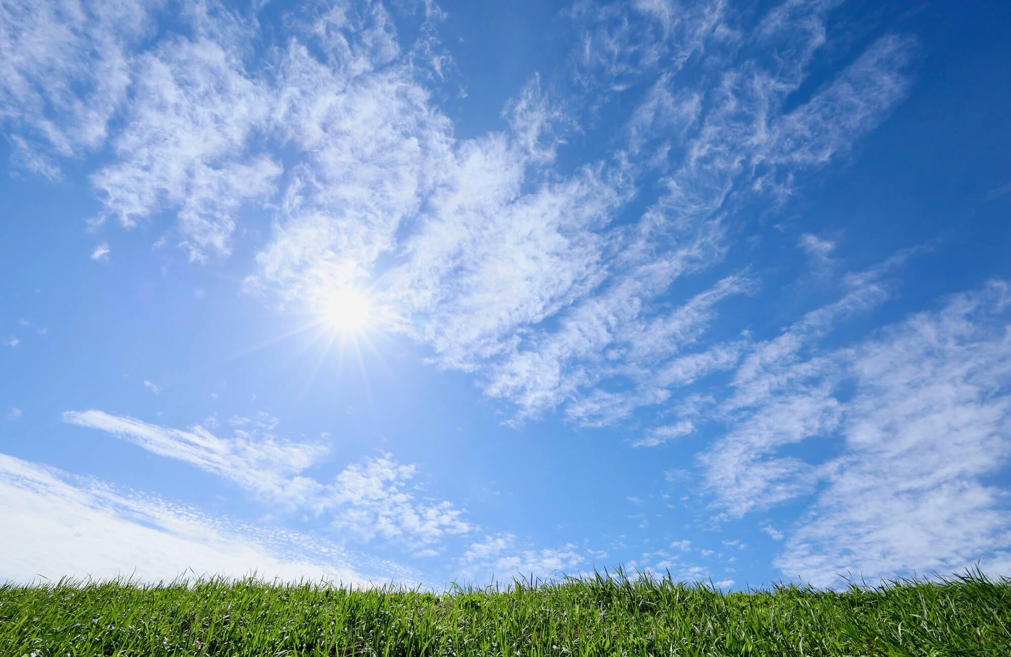 ソレイユとはフランス語で太陽を意味します